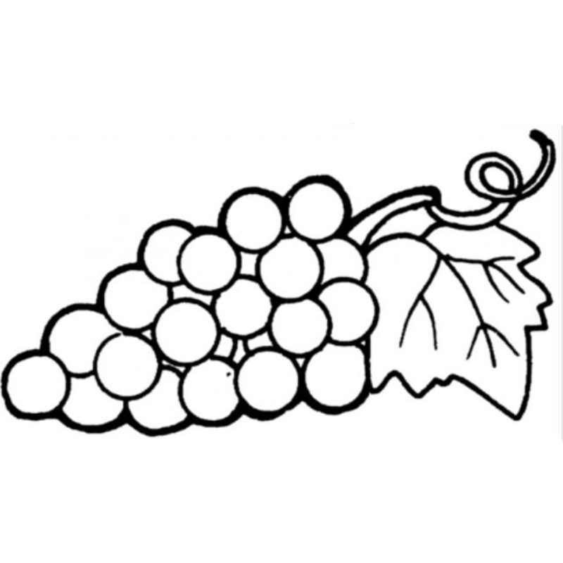 Nho Tím Trong Ánh Nắng