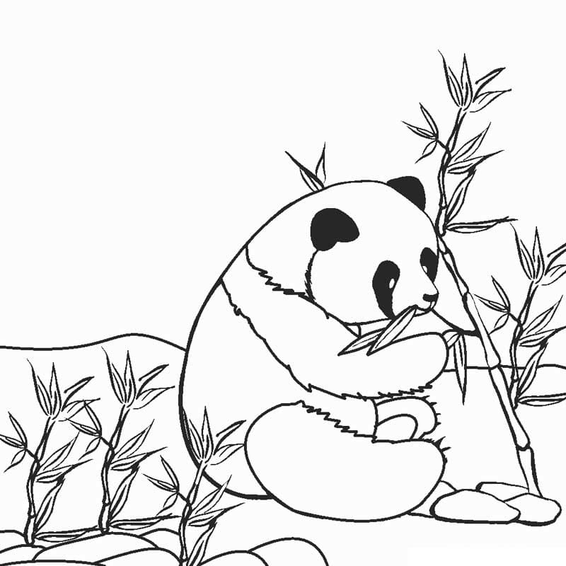 Bí Quyết Mua Tranh Động Vật Rừng Chất Lượng CaoBí Quyết Mua Tranh Động Vật Rừng Chất Lượng Cao